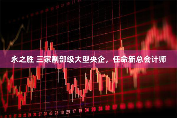 永之胜 三家副部级大型央企，任命新总会计师