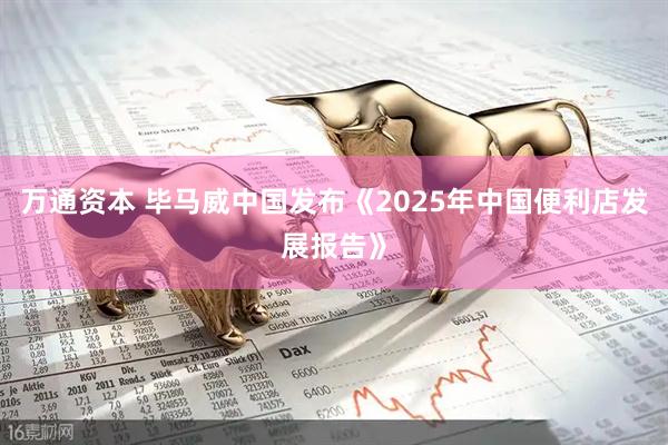 万通资本 毕马威中国发布《2025年中国便利店发展报告》