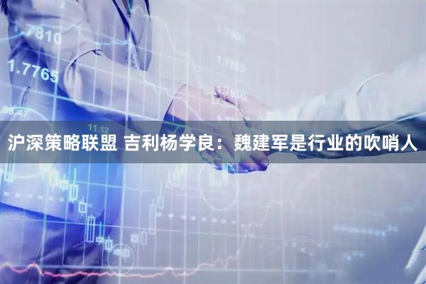 沪深策略联盟 吉利杨学良：魏建军是行业的吹哨人