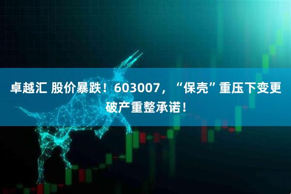 卓越汇 股价暴跌！603007，“保壳”重压下变更破产重整承诺！