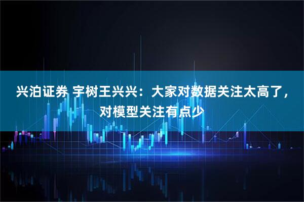 兴泊证券 宇树王兴兴：大家对数据关注太高了，对模型关注有点少