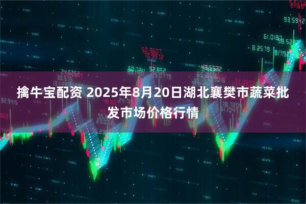 擒牛宝配资 2025年8月20日湖北襄樊市蔬菜批发市场价格行情