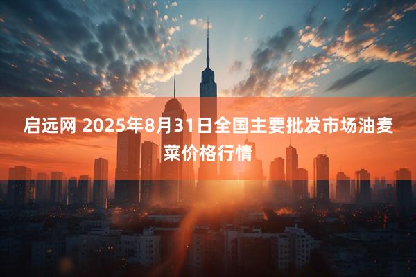 启远网 2025年8月31日全国主要批发市场油麦菜价格行情