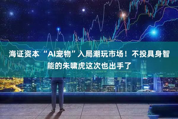 海证资本 “AI宠物”入局潮玩市场！不投具身智能的朱啸虎这次也出手了