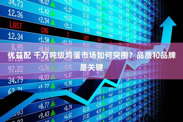 优益配 千万吨级鸡蛋市场如何突围？品质和品牌是关键