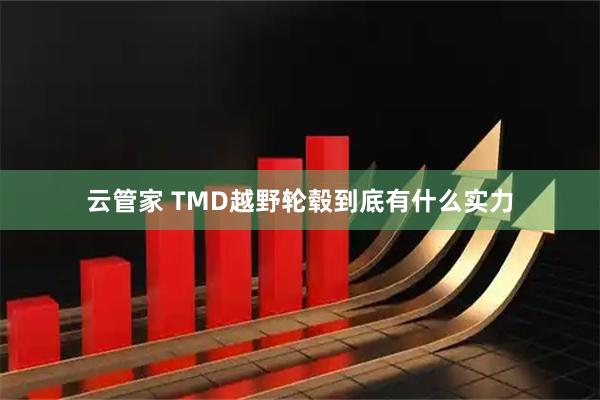云管家 TMD越野轮毂到底有什么实力