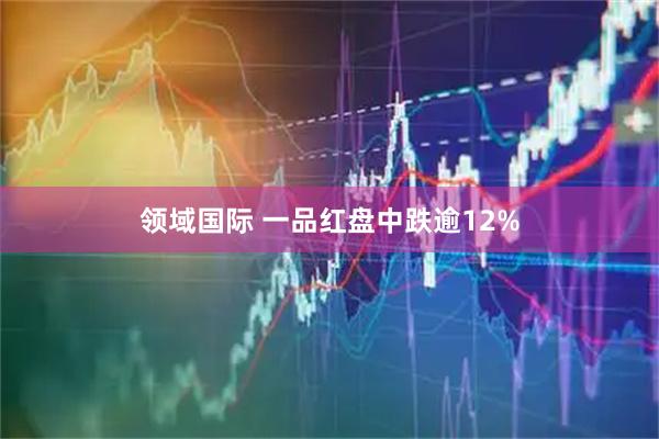 领域国际 一品红盘中跌逾12%